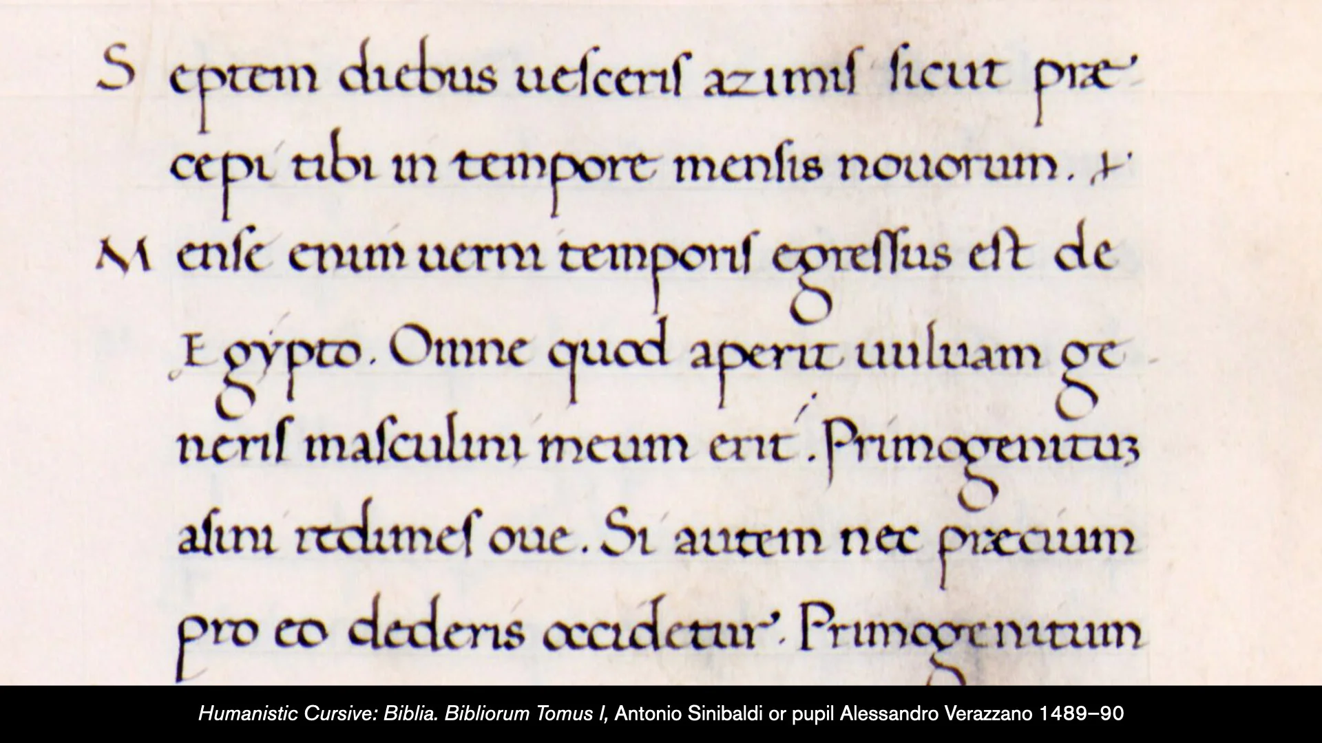 History of the Latin Alphabet Part 1.051.jpeg