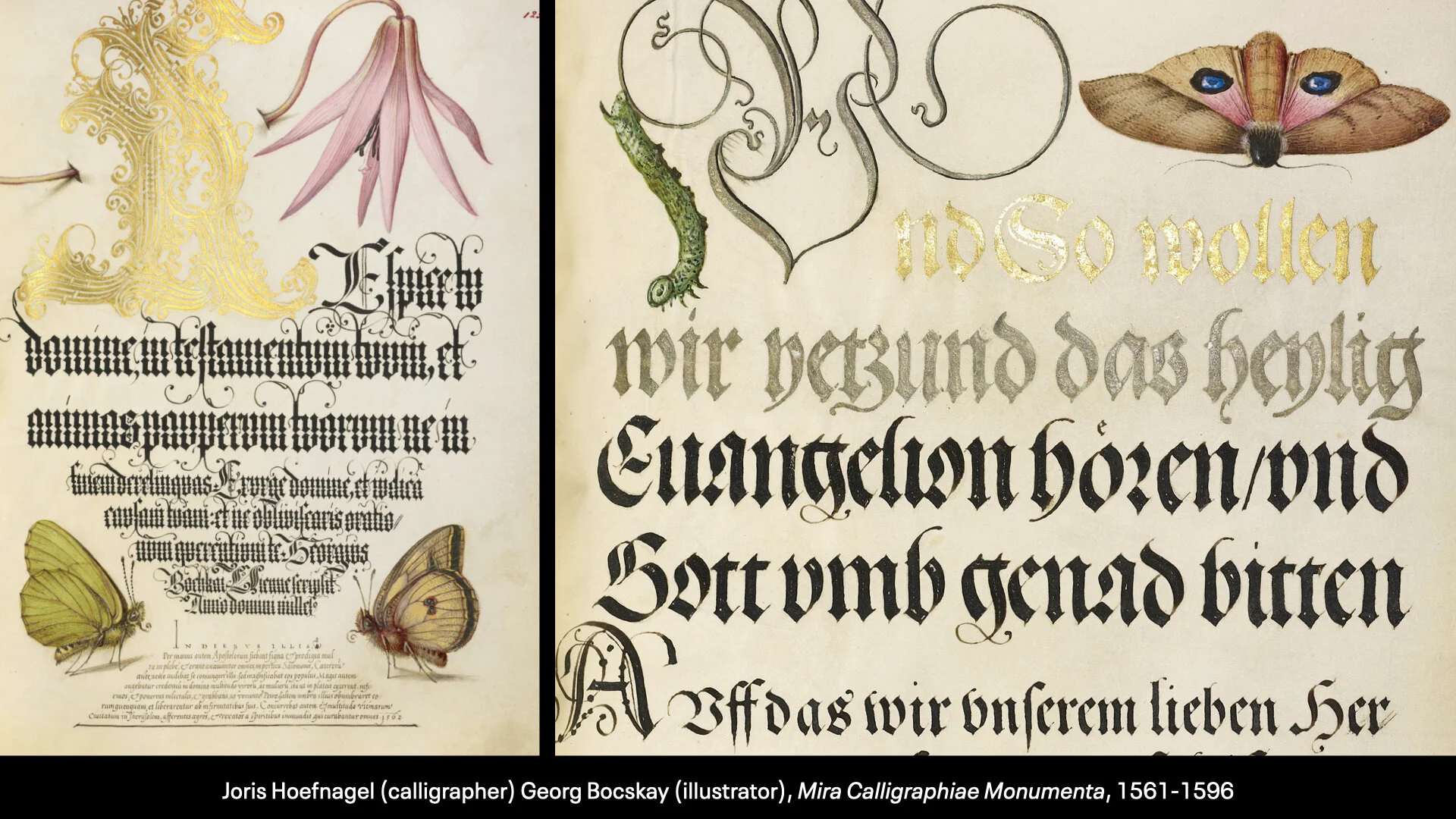 History of the Latin Alphabet Part 2.032.jpeg