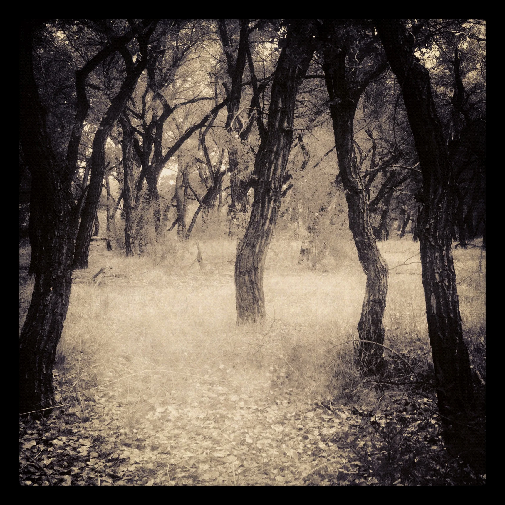 the place where words die as they leave your mouth.