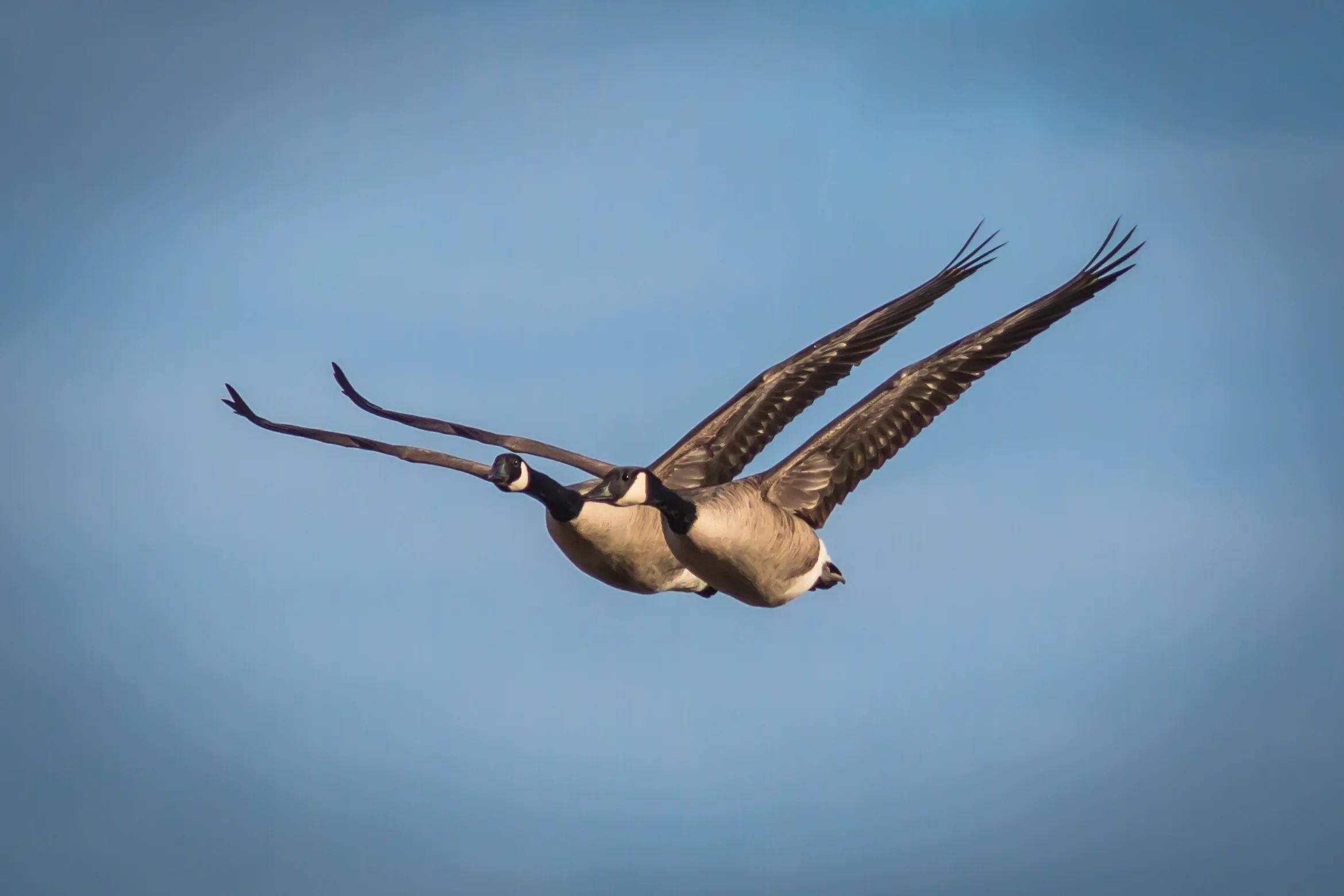 20150426-_MG_9973.jpg