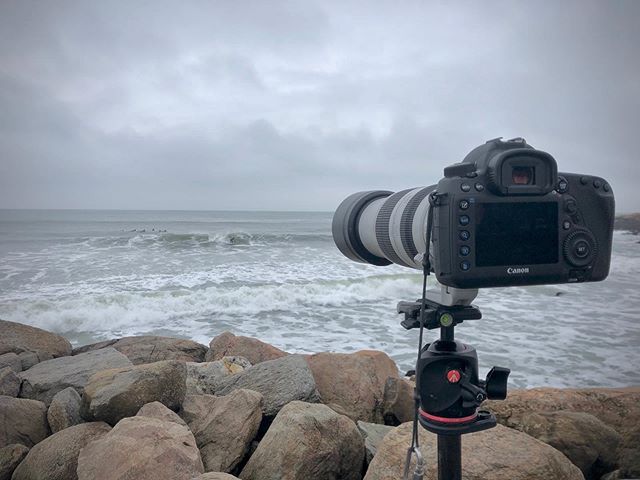 It&rsquo;s been a minute, but it&rsquo;s oh so good to shoot again. #backtothegrind #narragansett #surfsup #canon5dmarkiv #illgrammers #canon #surf #surfing #surfer #easternsurfmag #eastcoastsurf #eastcoaststyle #oceanbeach #igersrhodeisland #ig_rhod