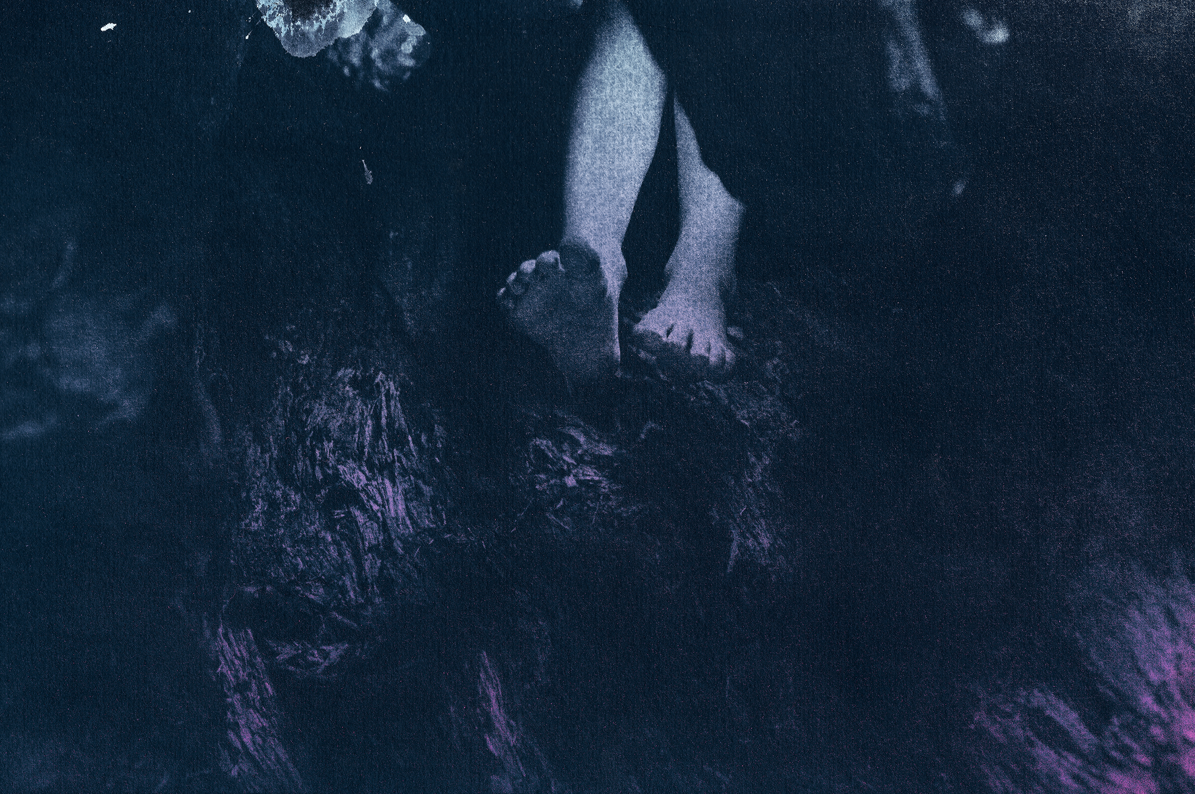 Trace (2), 2016 Pigment print, Framed, 20x32cm