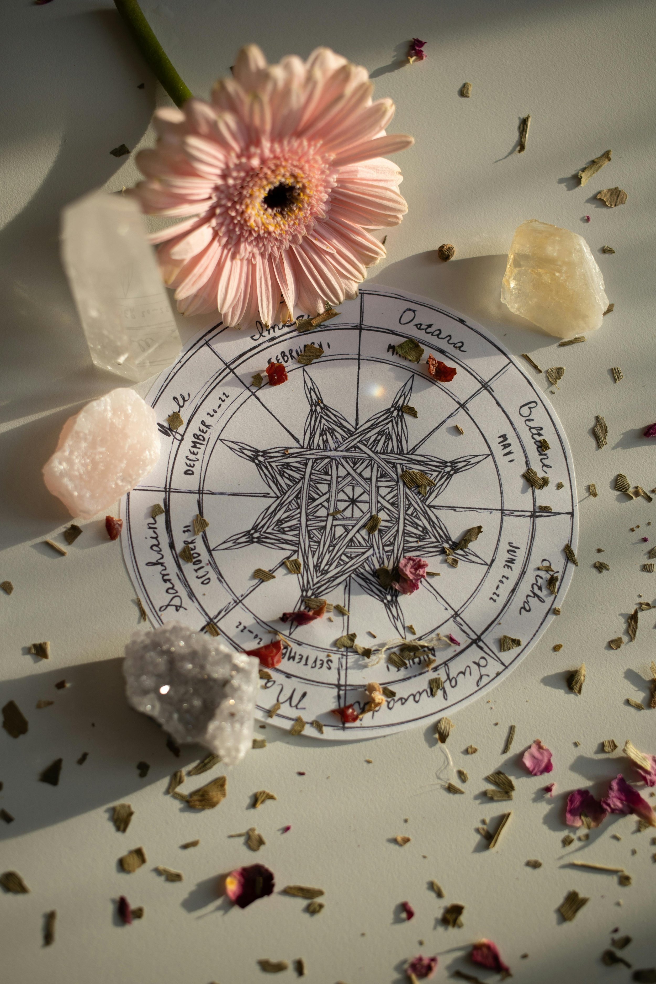 Spring Equinox &amp; New Moon Womens' Circle