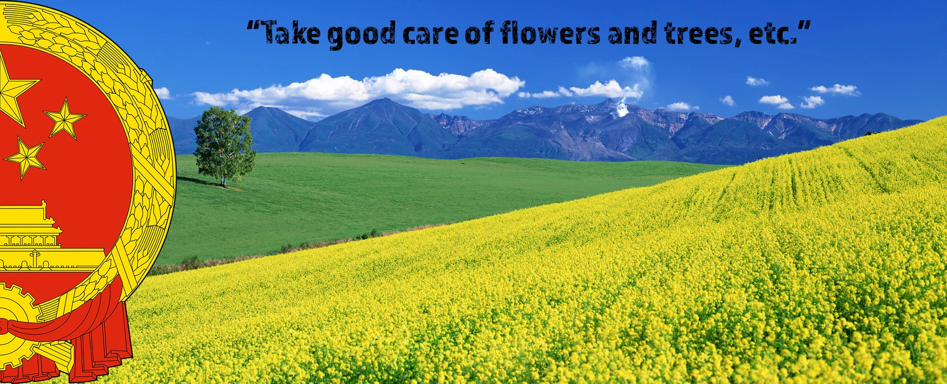 Self-As-Other: Seeing the U.S. From Foreign(er's) Perspectives