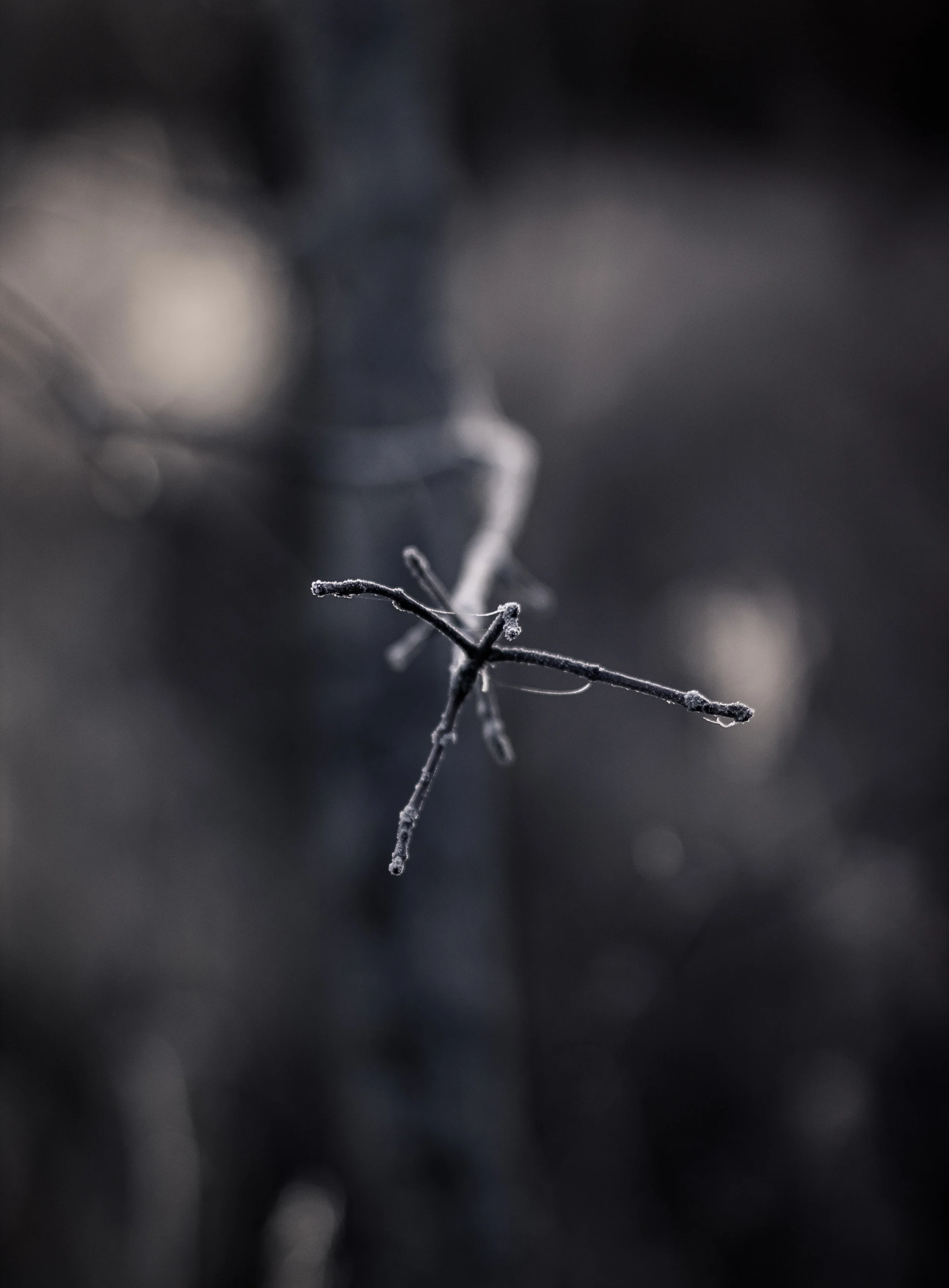 _MG_9491.jpg