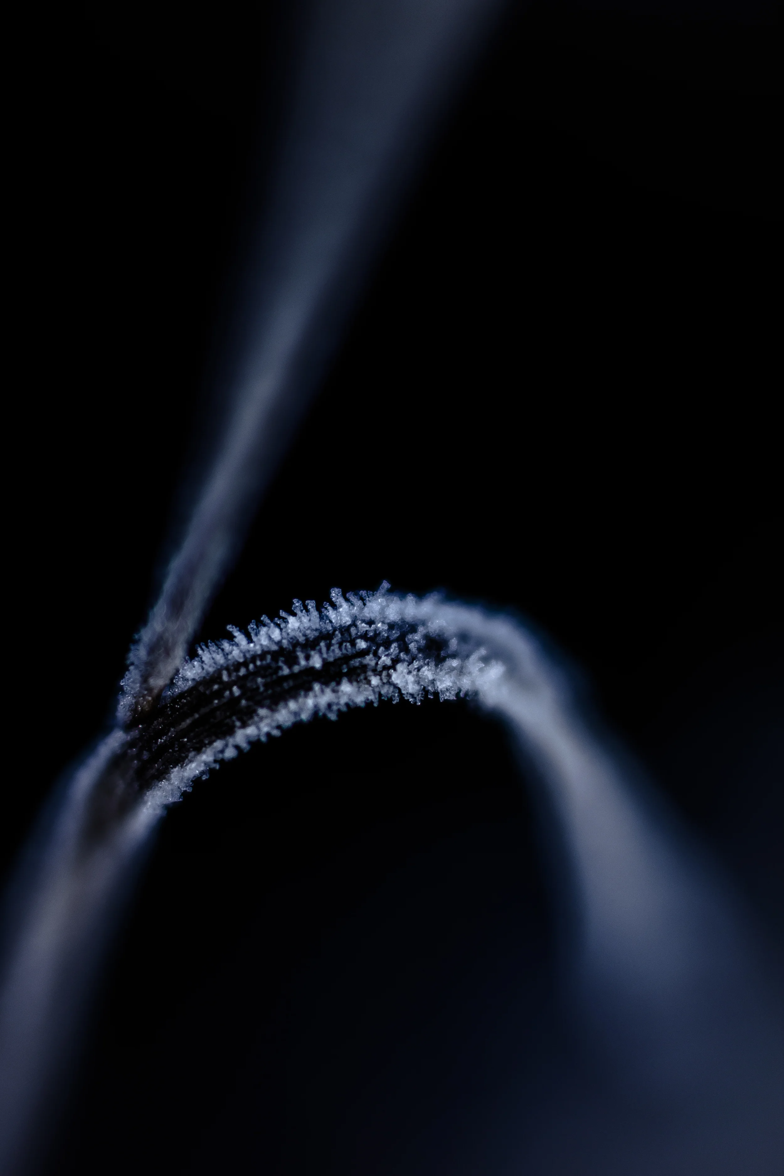 _MG_9464.jpg