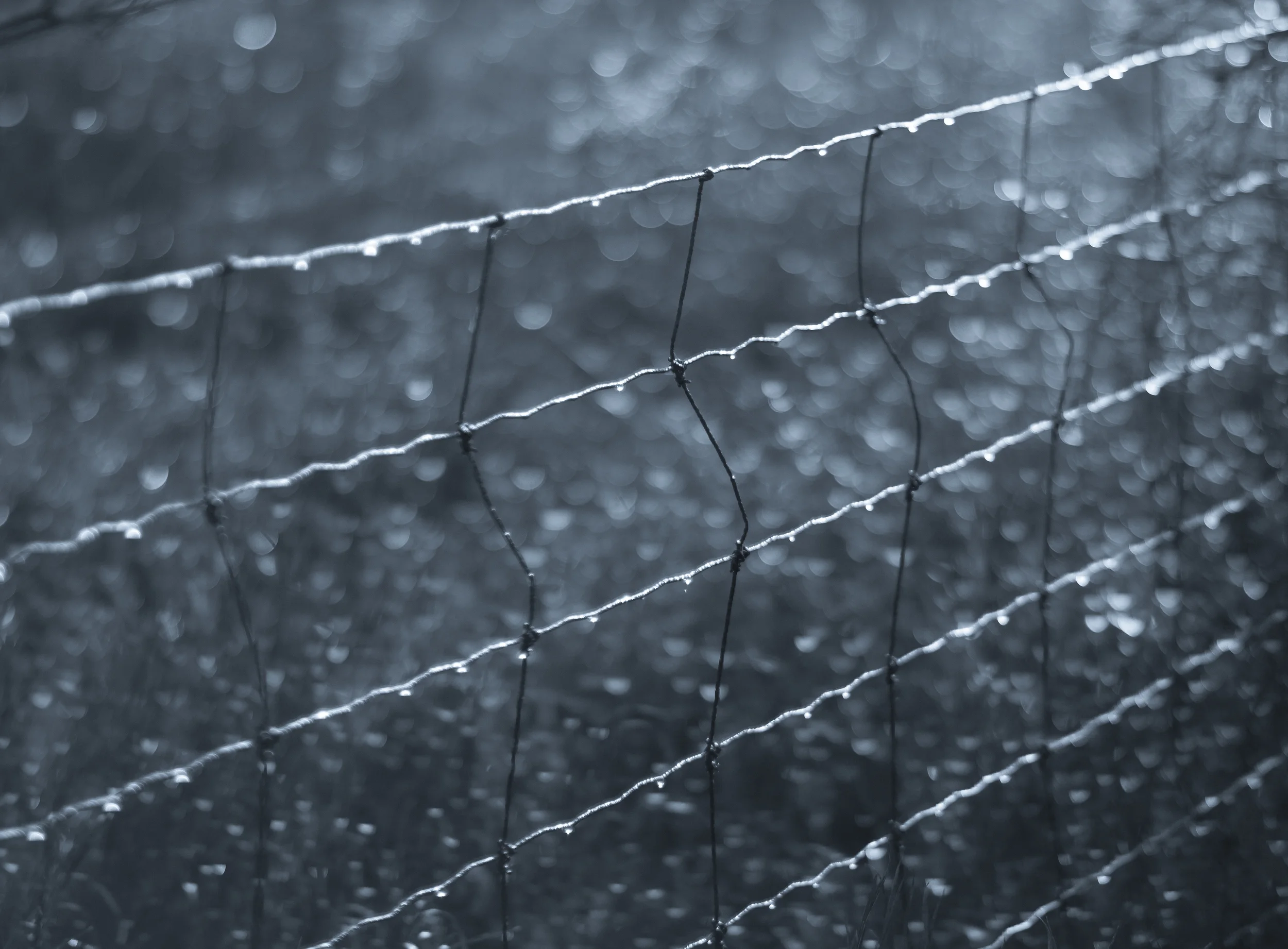 _MG_9519.jpg