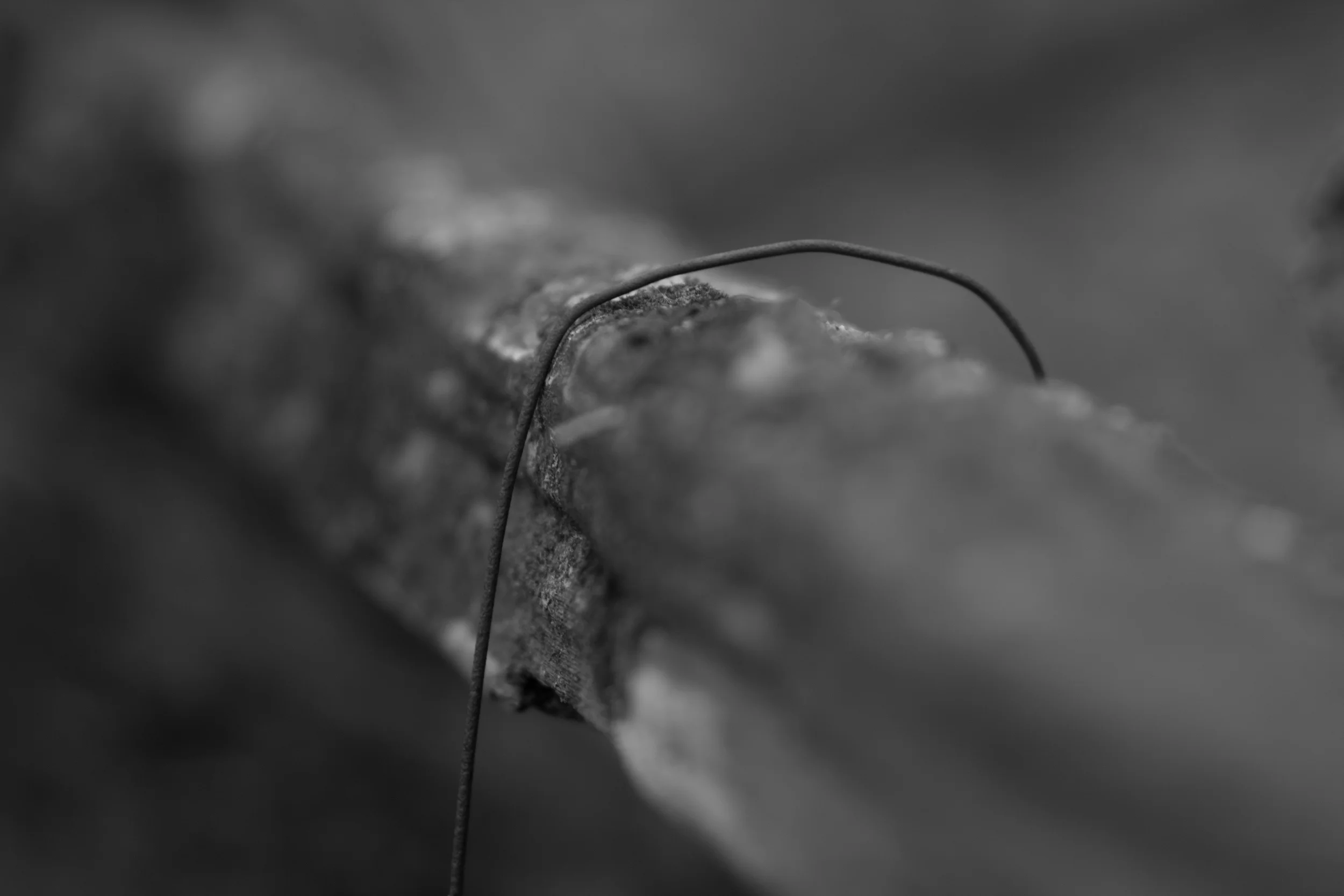 _MG_9644.jpg