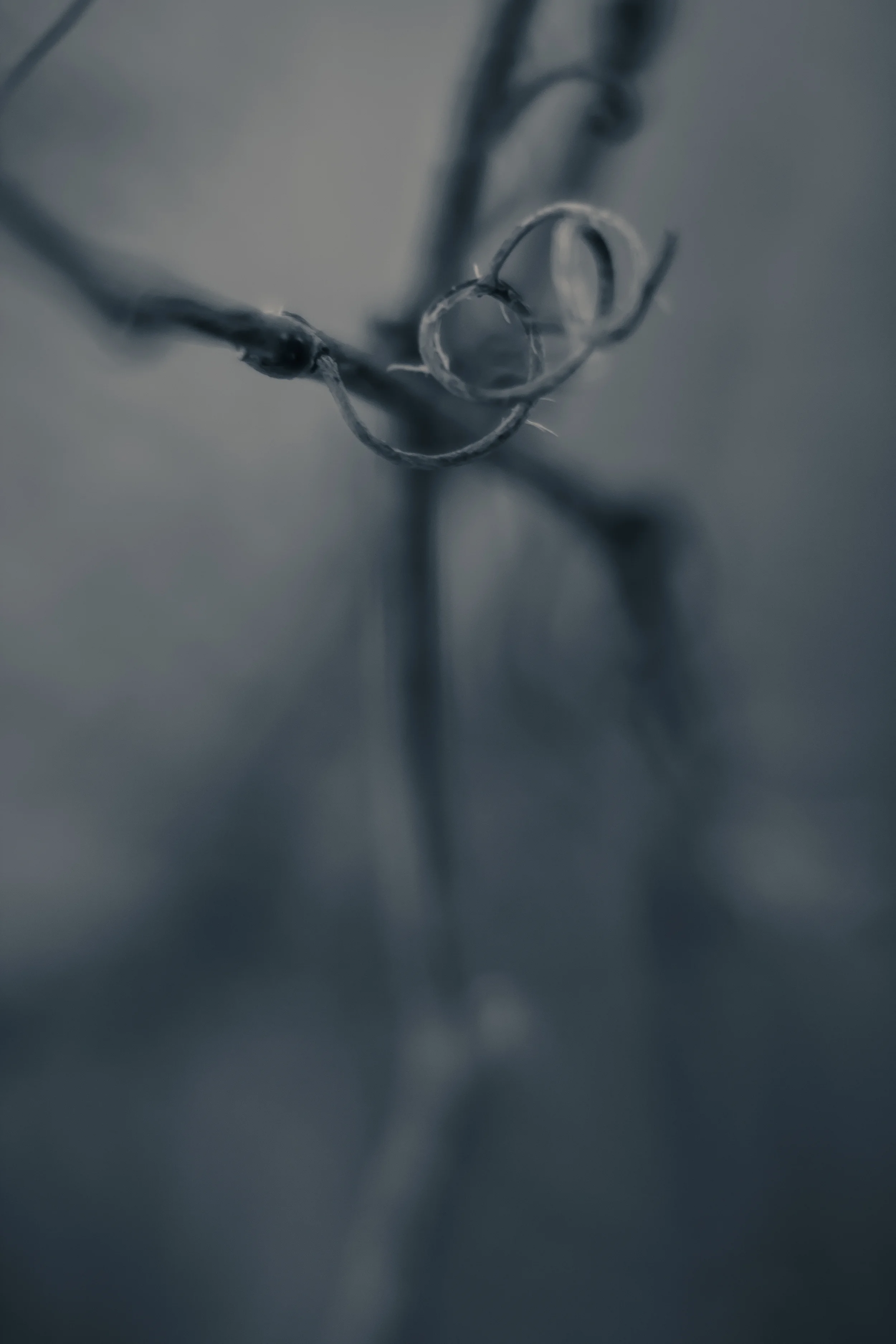 _MG_9946.jpg