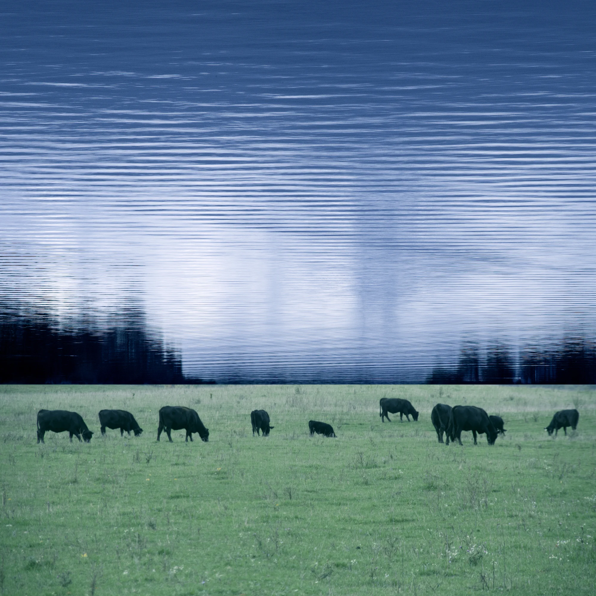 Grazing