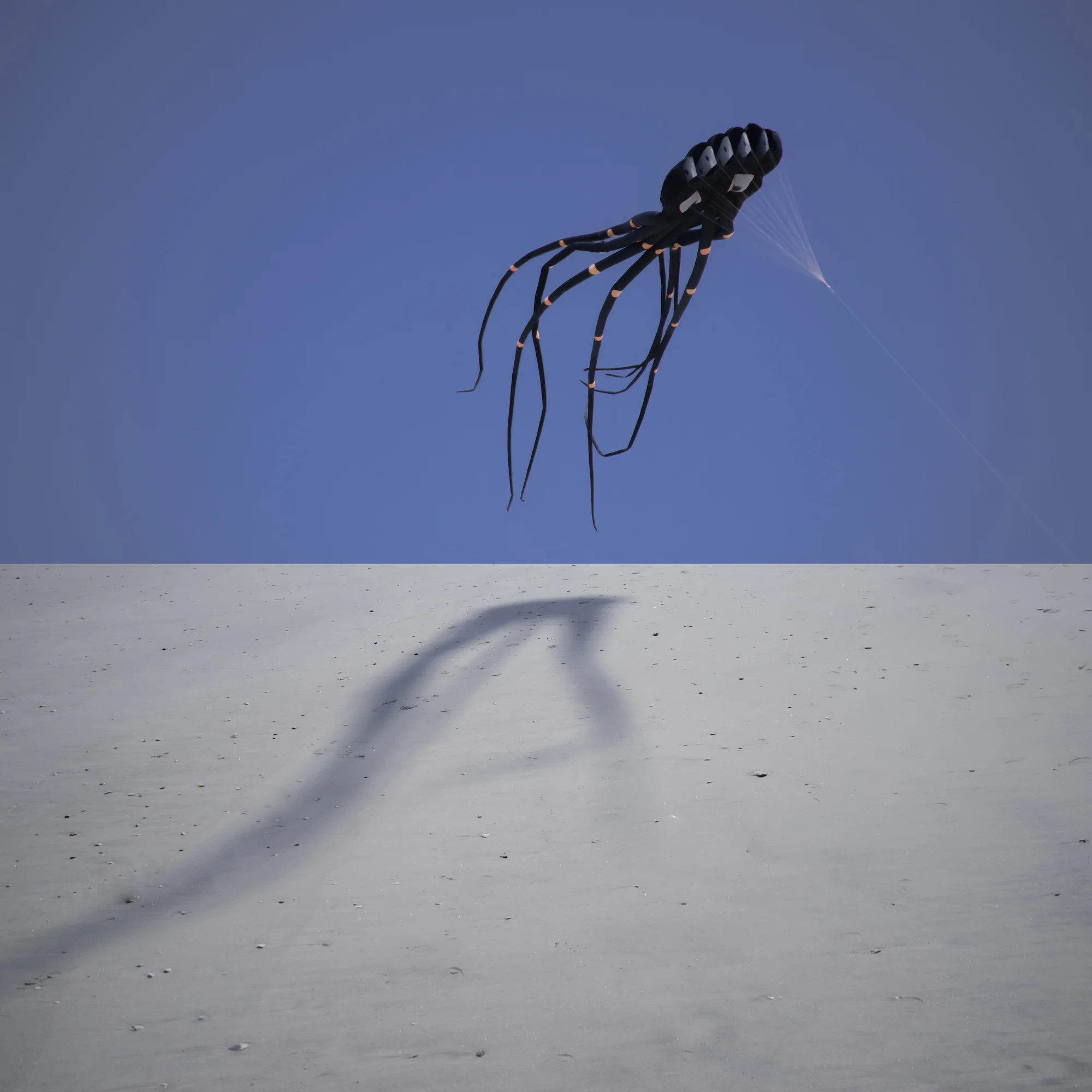 Visitor