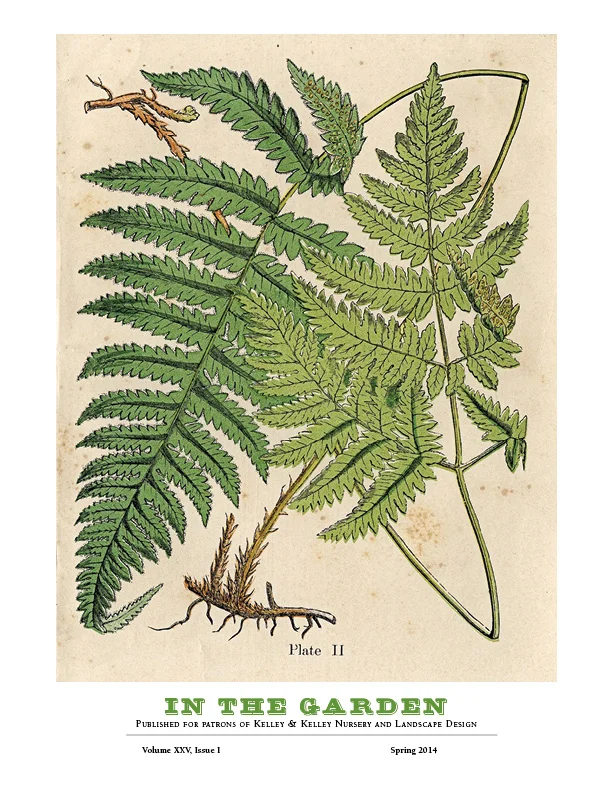 K&K NEWS  cover .jpg