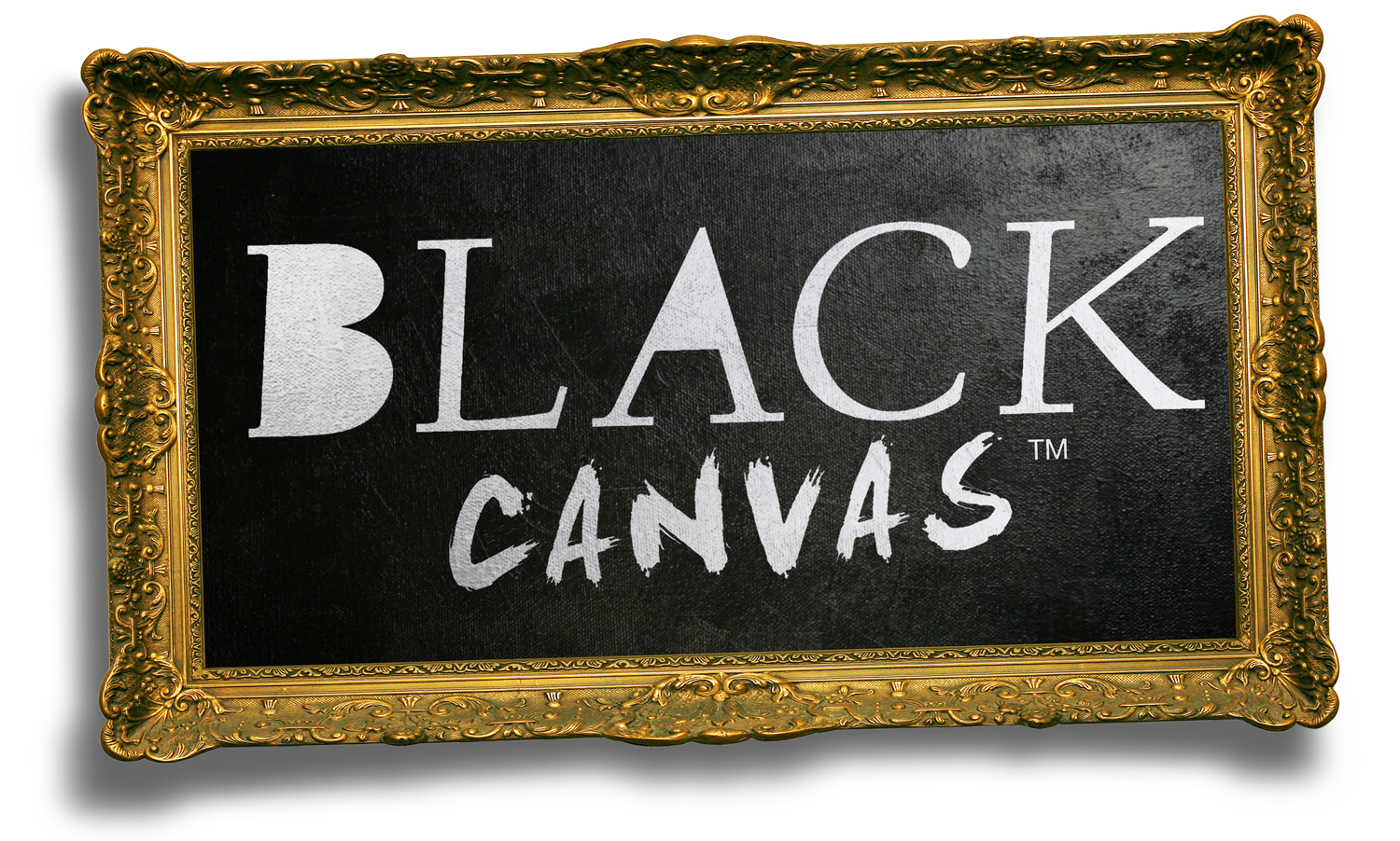 Black Canvas™ - Demo Reel