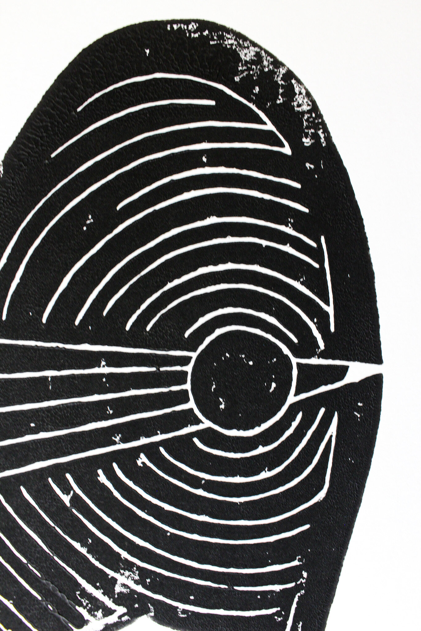 image7 (3).jpeg