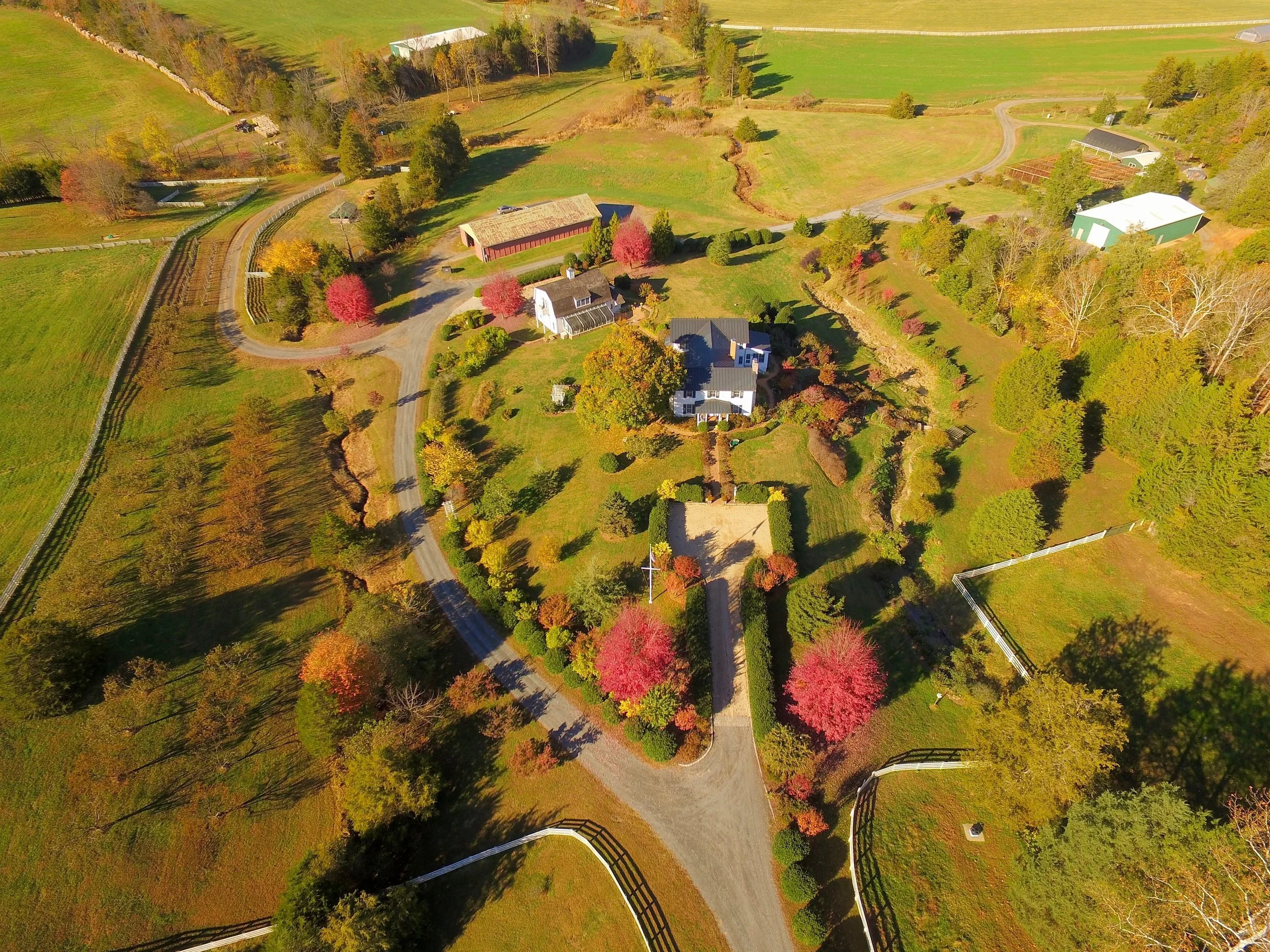 DJI_0007.jpg