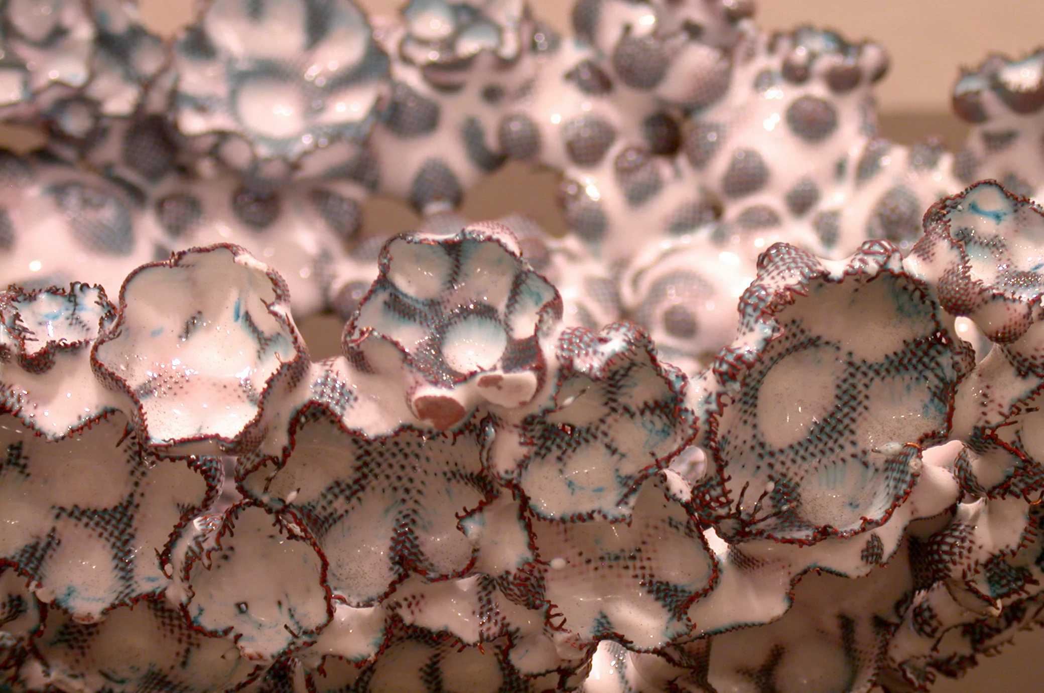 023whitedetail.jpg