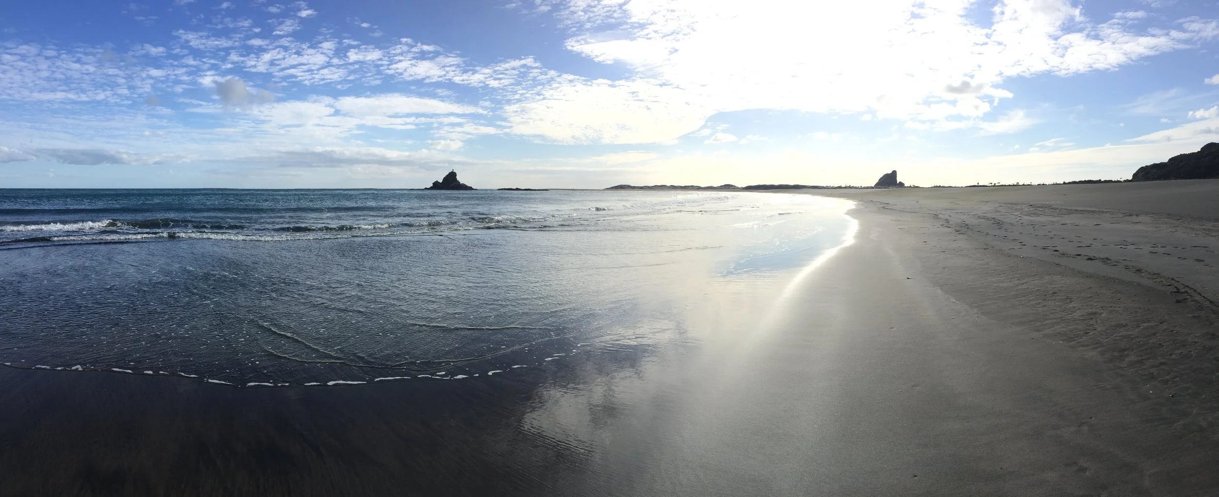 Mosquitos. A True Vampire Tale.