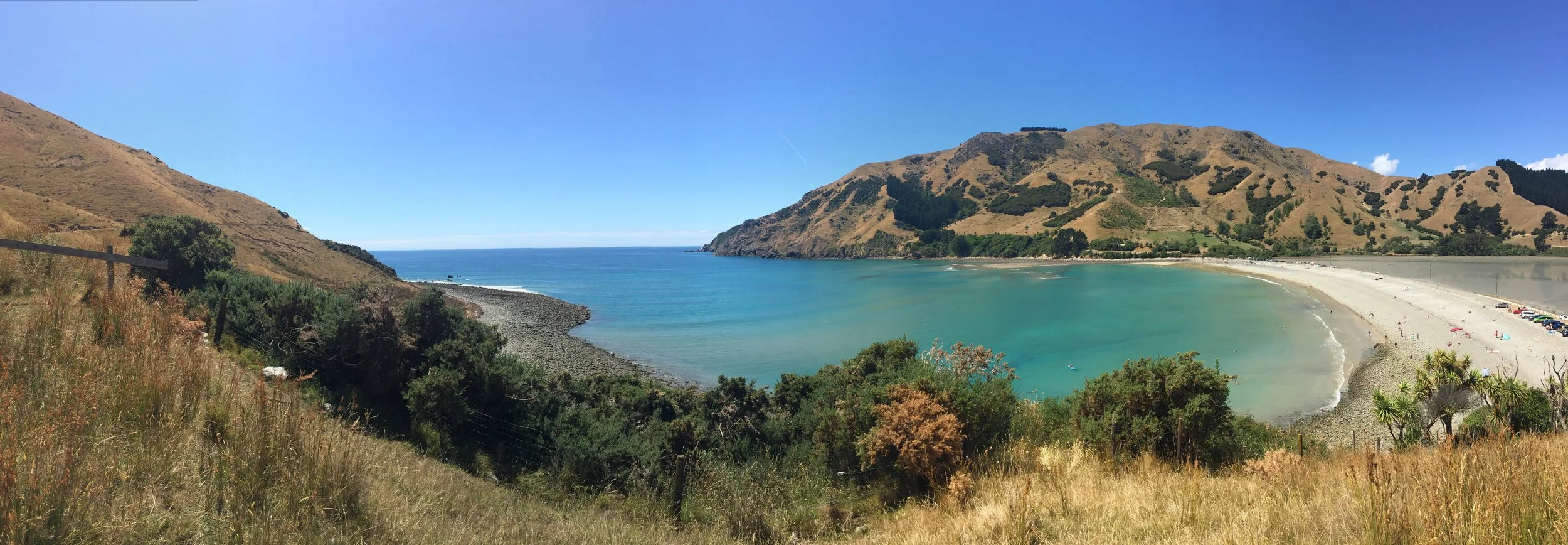 A Collection of Catching Up...