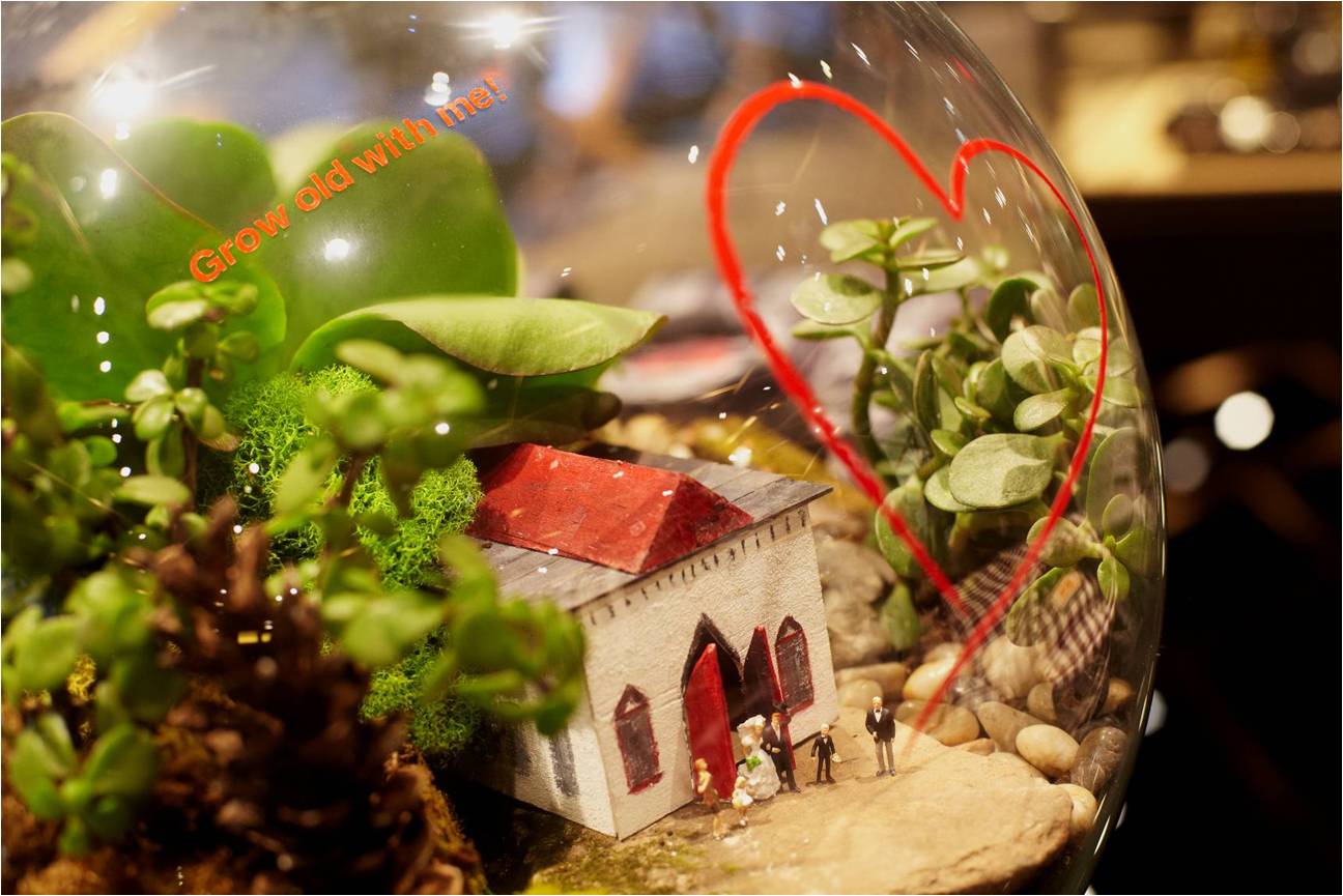 Hugo_Boss_Terrarium_Art_Exhibit_i.jpg