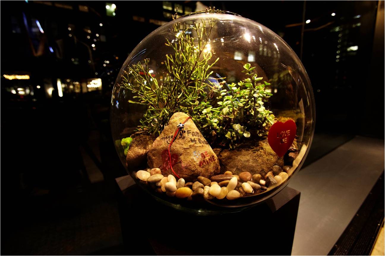 Hugo_Boss_Terrarium_Art_Exhibit_c.jpg