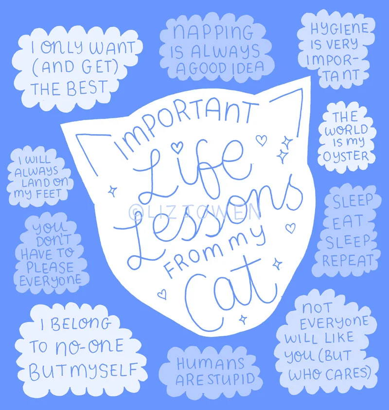 Life-Lessons-from-a-Cat-by-lizjowen.jpg