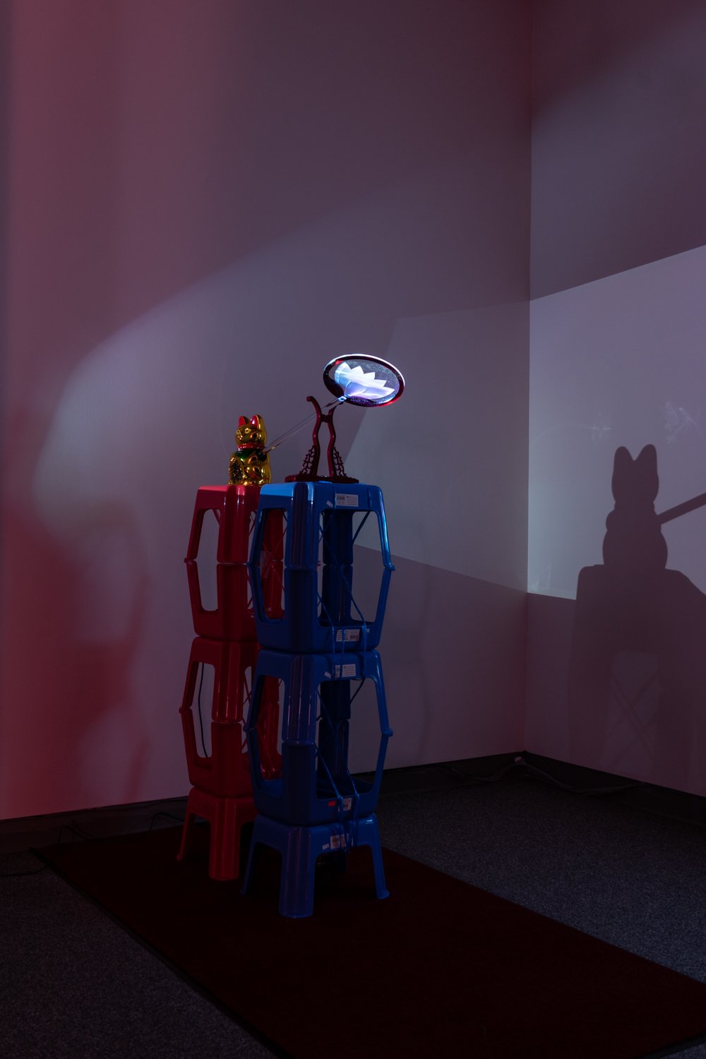  Installation Documentation from  The Lotus Foot , GIF, Projection Mapping, Acrylic, motor, Arduino, found object 