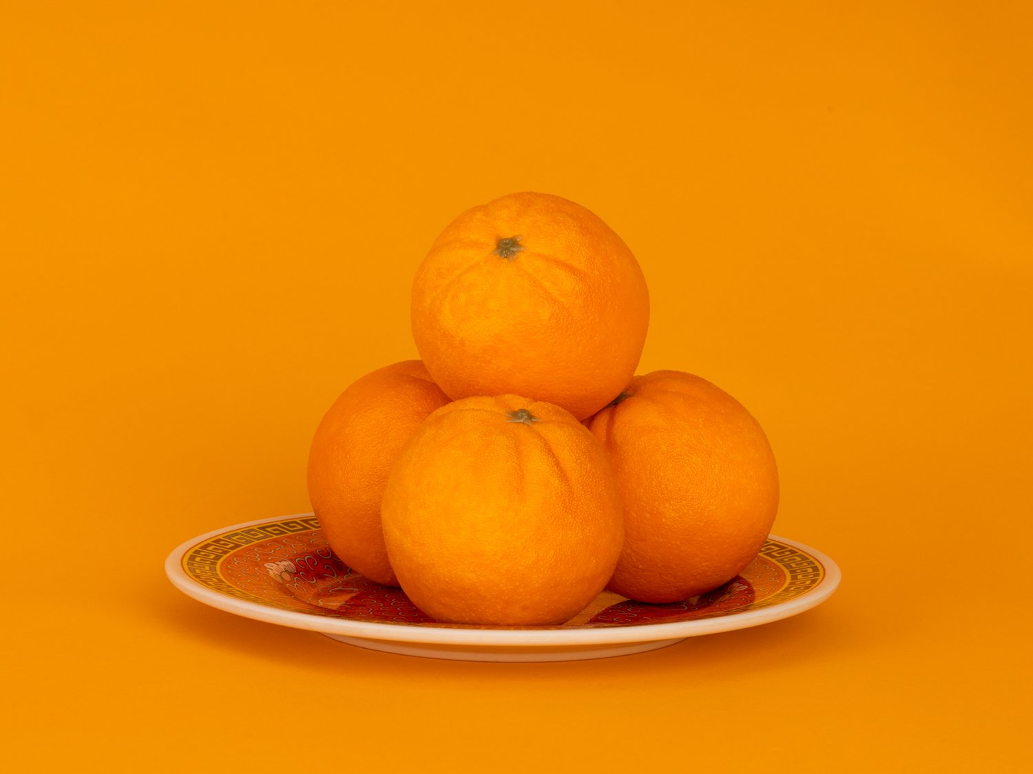   Authentic High Imitation Oranges , 2021 