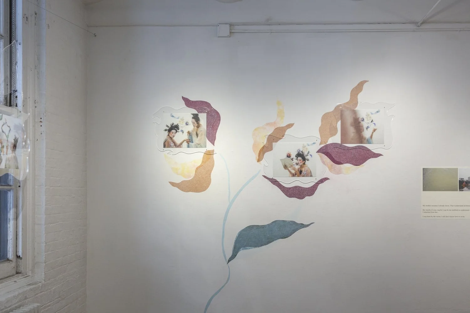 orchid-sisters-song of a shell-install-1.jpg