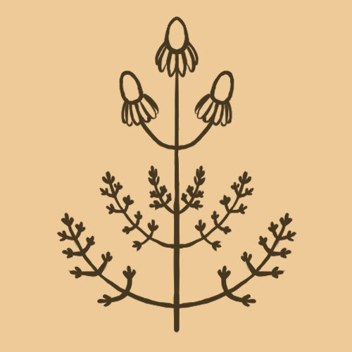 witch-icon-chamomile.jpg
