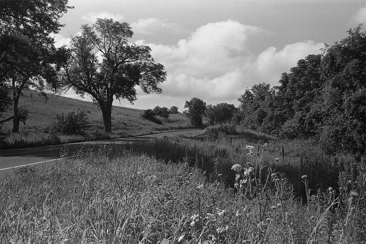 West of Rt. 522 looking south. Rappahannock County, Virginia. 2013. 