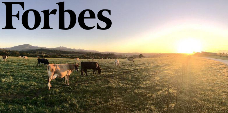 Forbes-image.jpg