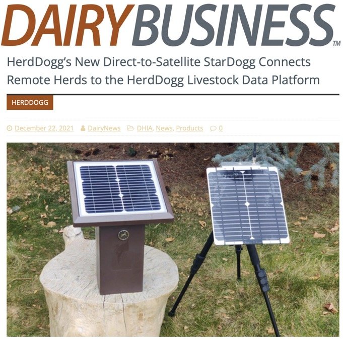 Dairy Business StarDogg.jpg