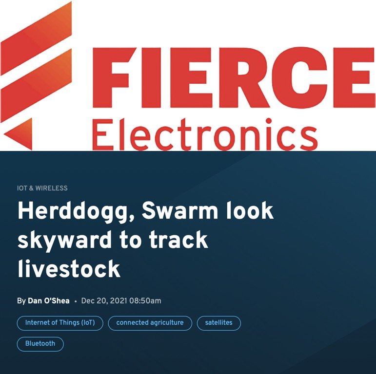 Fierce Electronics StarDogg.jpg