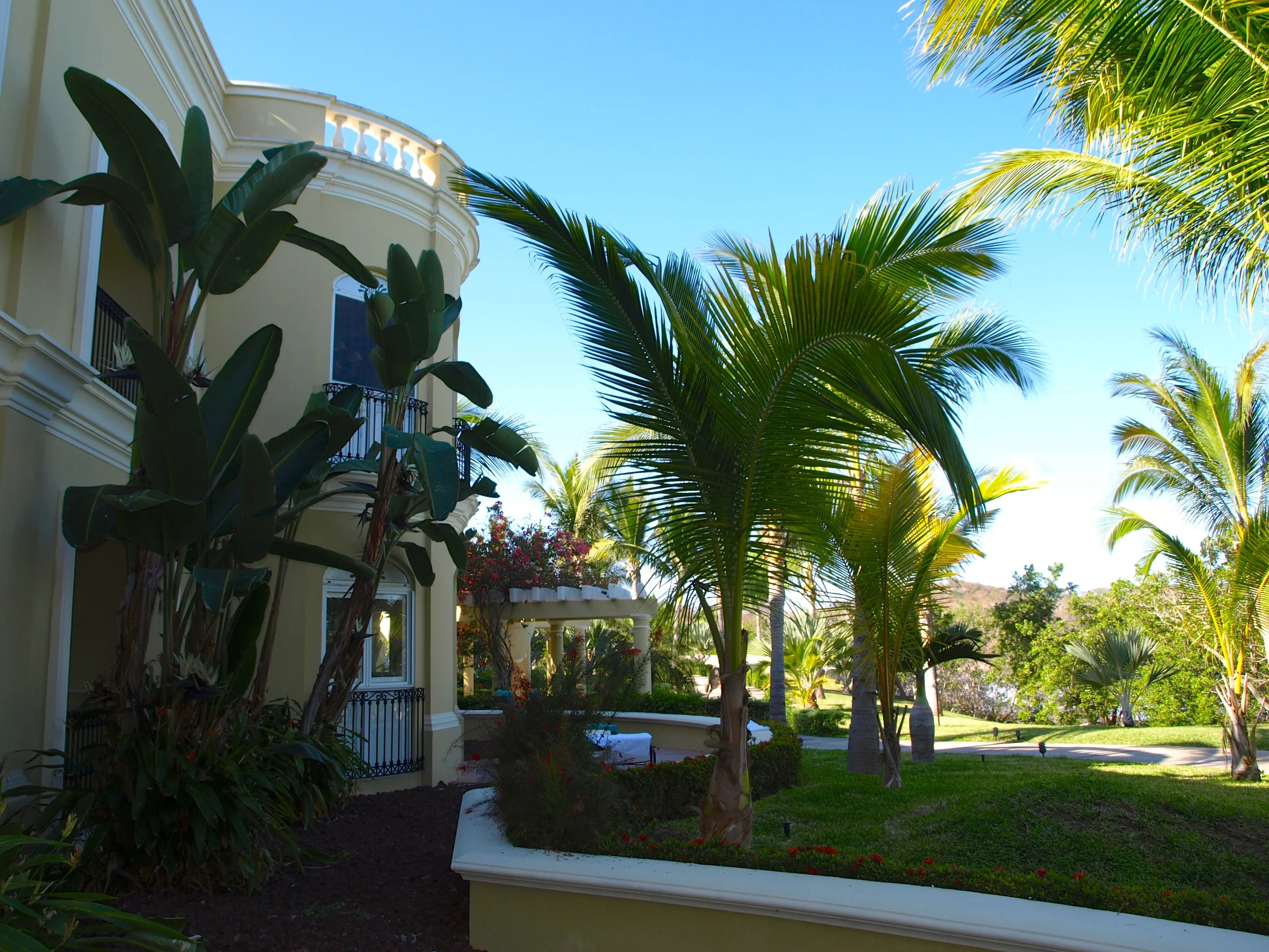   The Master Suite Rooms are palatial with the most comfortable beds I have ever slept on anywhere in Mexico—pillow top with down comforters. The décor is upscale Mexican beach colonial with the traditional and oh so relaxing color scheme of yellow t