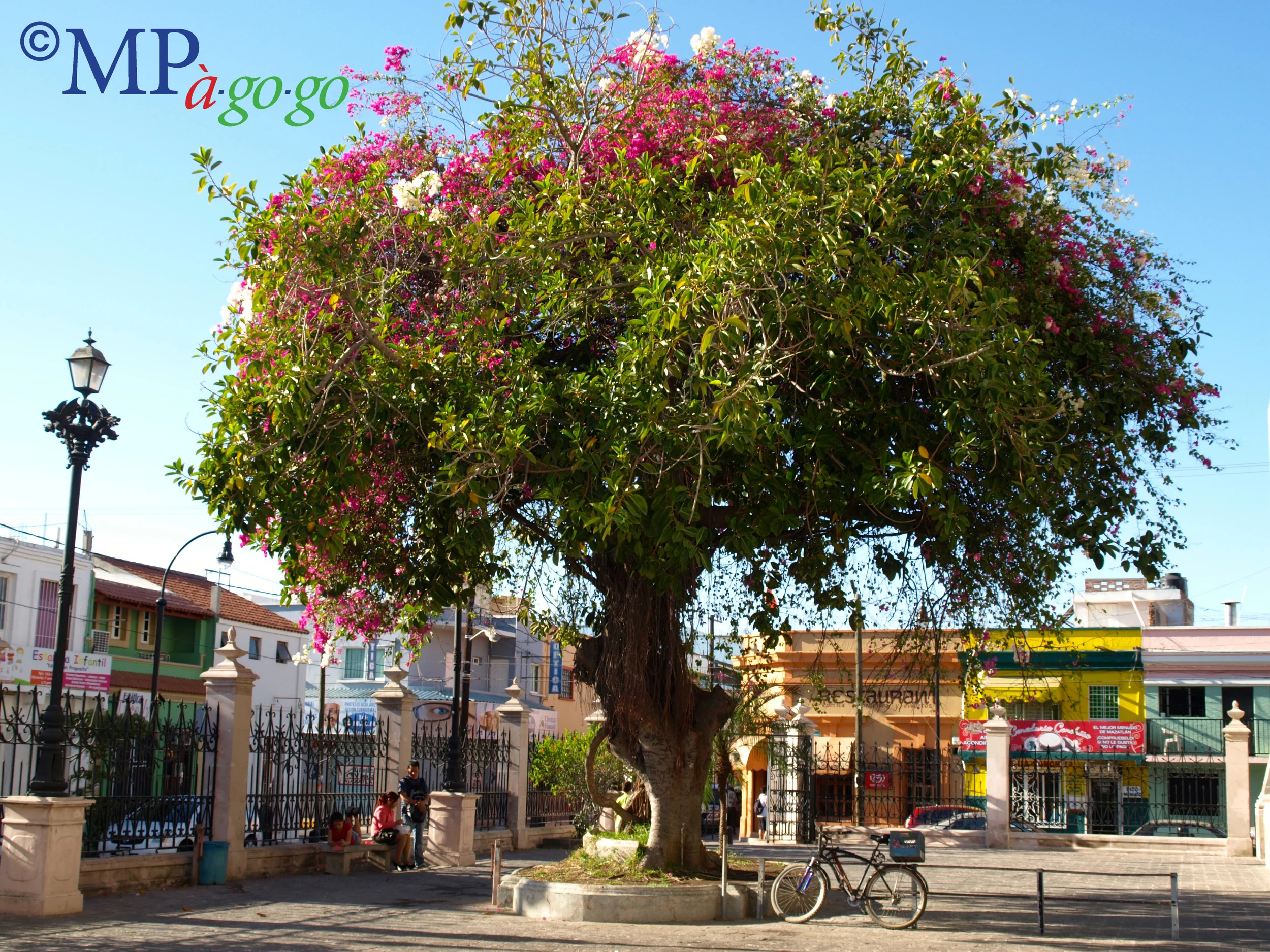  And so it was with my return trip to my very first Mexican city—Mazatlán.&nbsp; The second time around I even learned the correct pronunciation is Mazatlán with the accent on the last syllable instead of the Americanized MAZ-at-lan. 