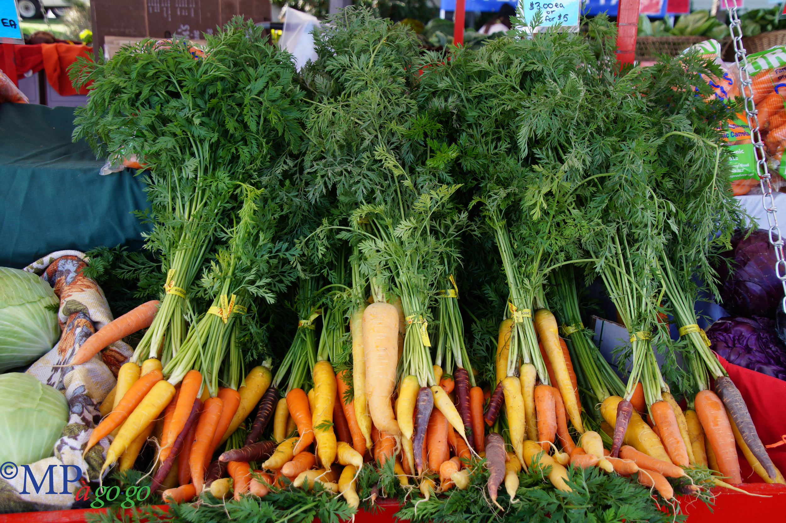 CarrotsDSC00025.jpg