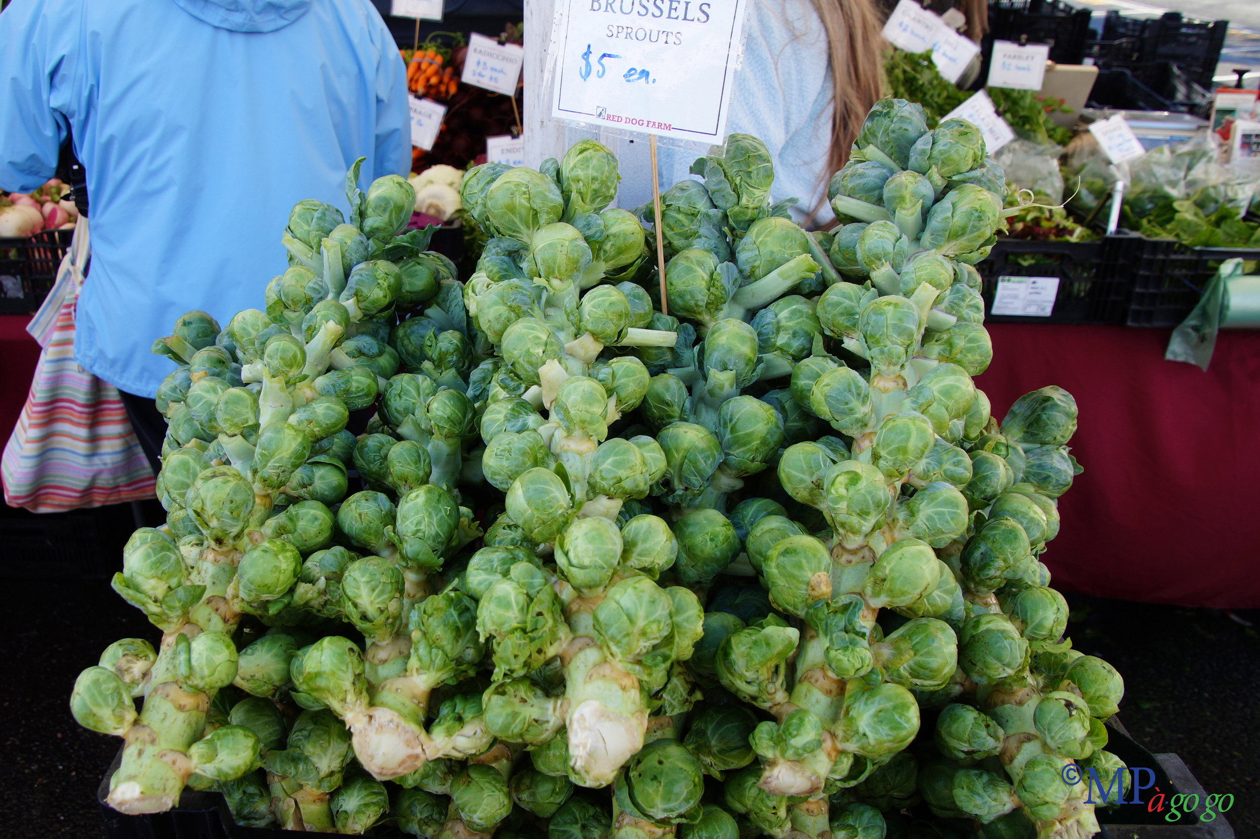 BrusselSproutsDSC00006.jpg