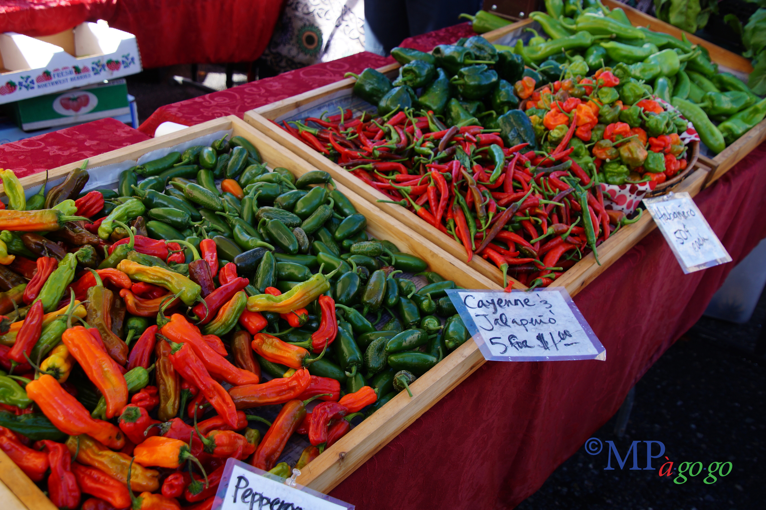 ChilisDSC00027.jpg