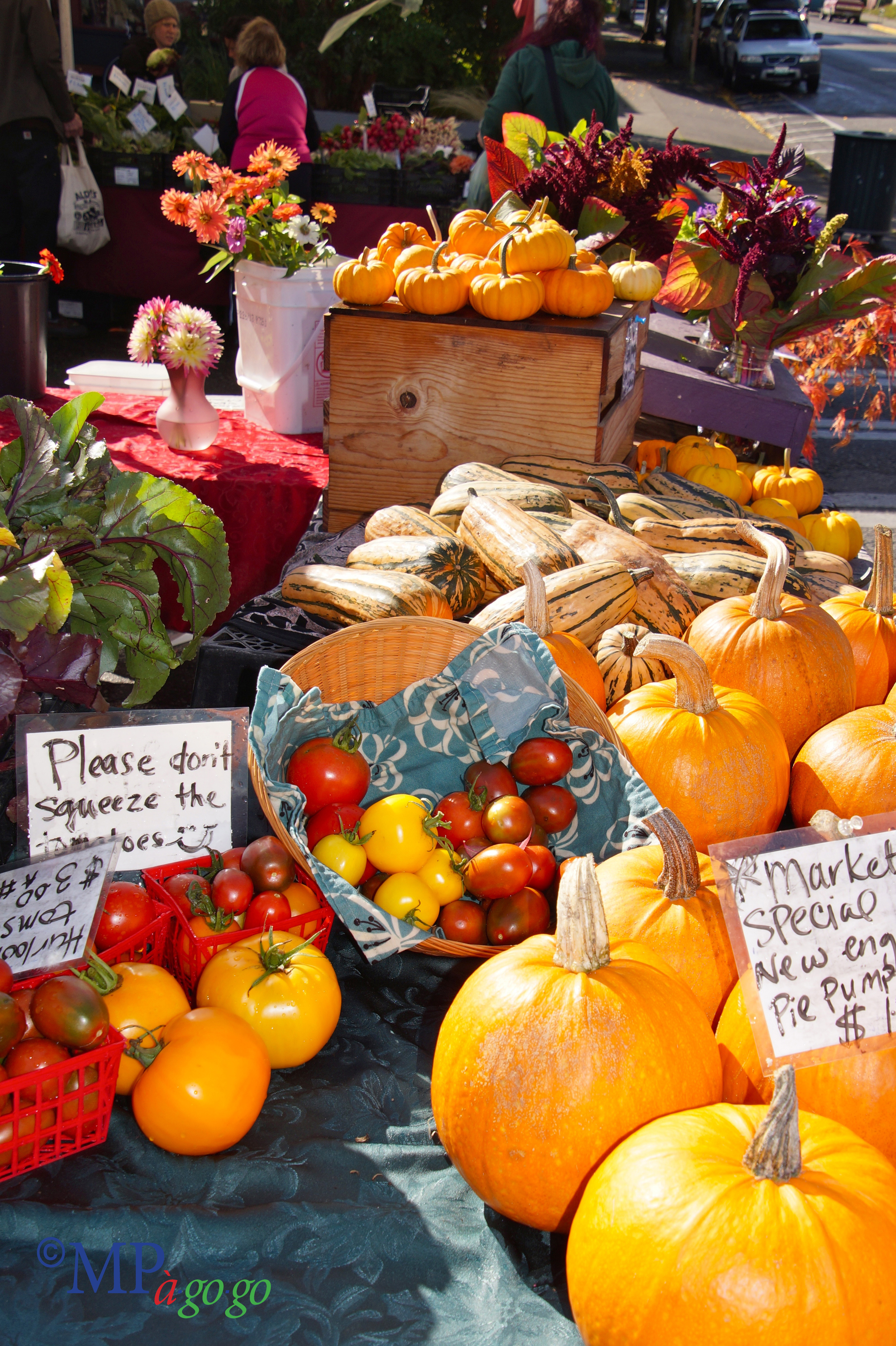 PumpkinsDSC00028.jpg