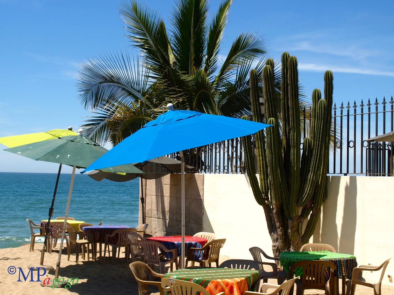    EAT :      Surf’s Up Café  —at El Sol La Vida north of Emerald Bay. Don’t let this self-proclaimed surf-style café’s laid-back style fool you. The breakfast and lunch-only menu features fresh ingredients and healthy twists on Mexican standards wit