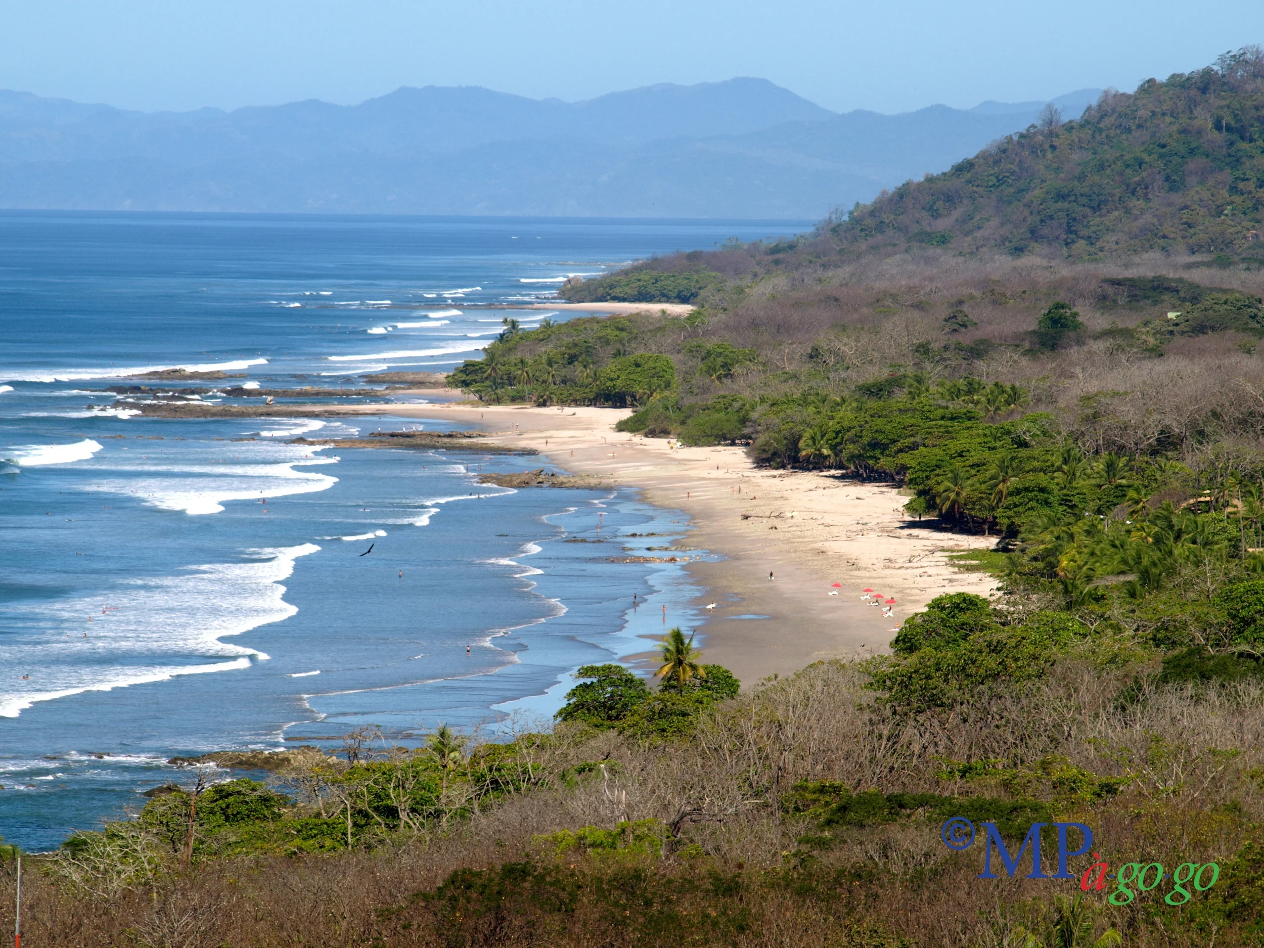 Embrace the Adventure...