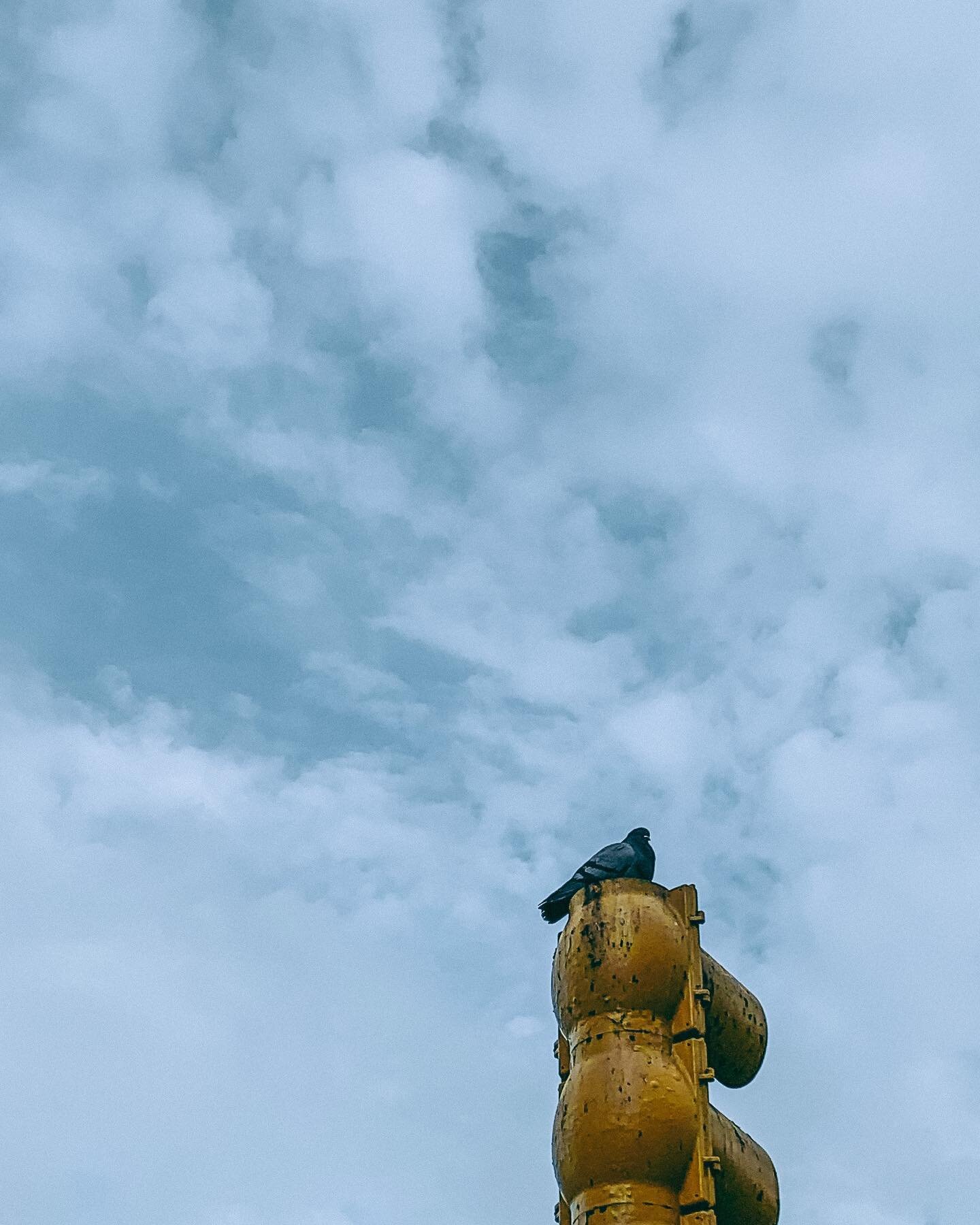 I like to look up.