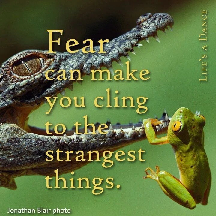 Fear can make you cling to the strangest things