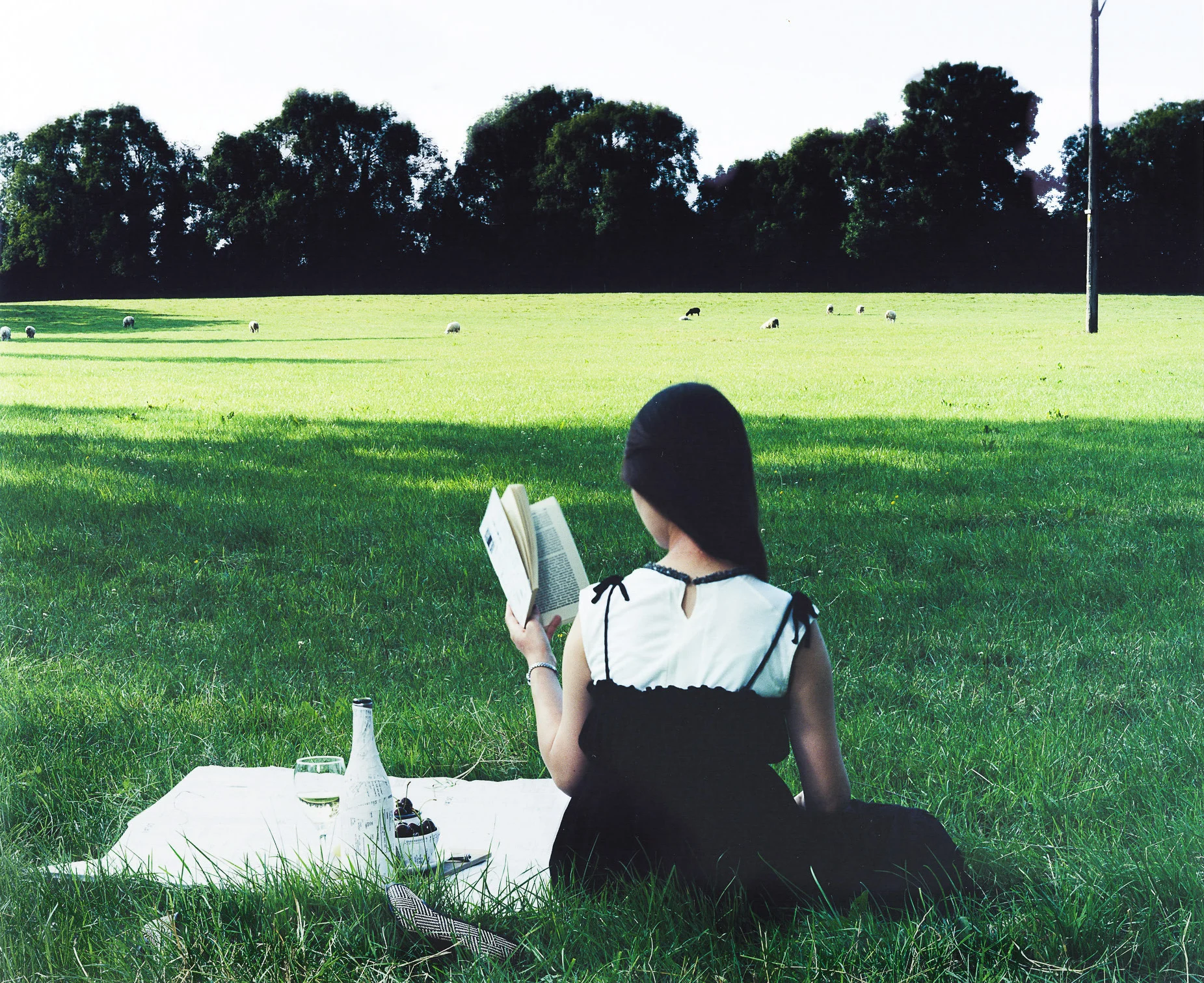 Picnic