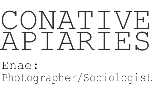Conative Apiaries — Enae: Photographer/Sociologist