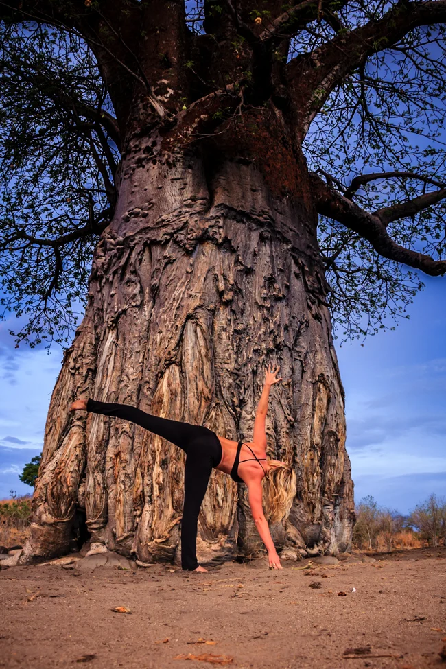 WhitneyBushnellYogaSafari-2.jpg