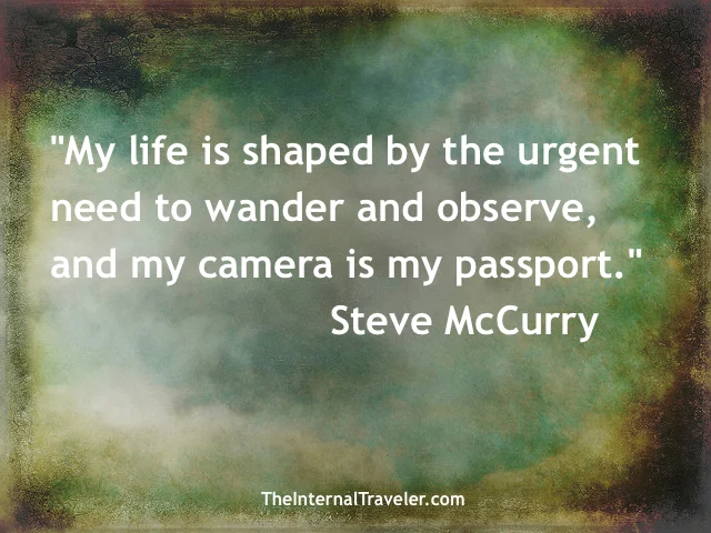 TheInternalTraveler_SteveMcCurry.jpg