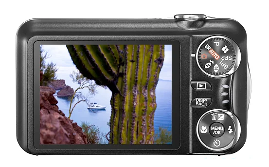 baja_photo_cruise.jpg