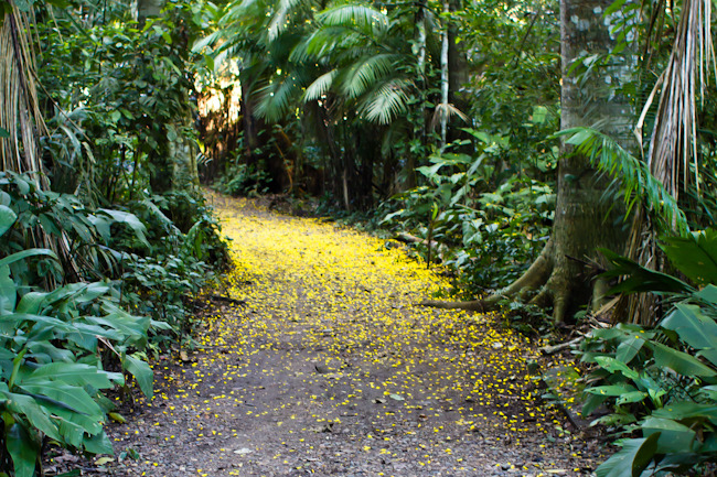 ebarone_peru_barone_inkaterra-6_05.jpg