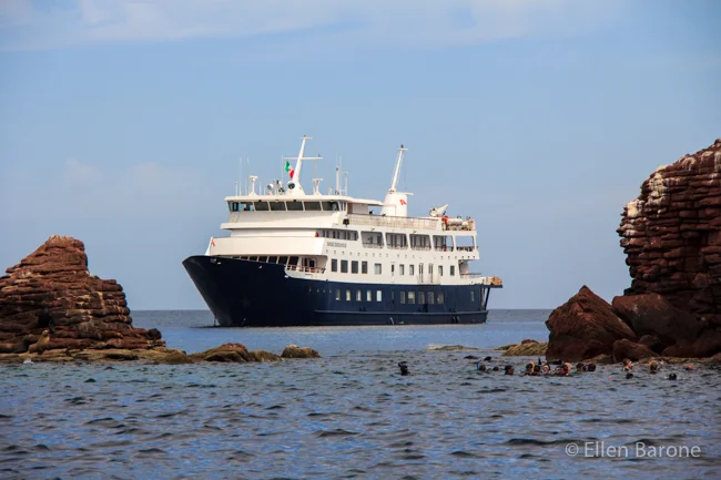 Safari Endeavour, Los Islotes, Sea of Cortés.